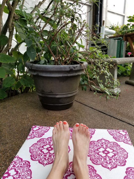 Butterfly Pavilion yoga