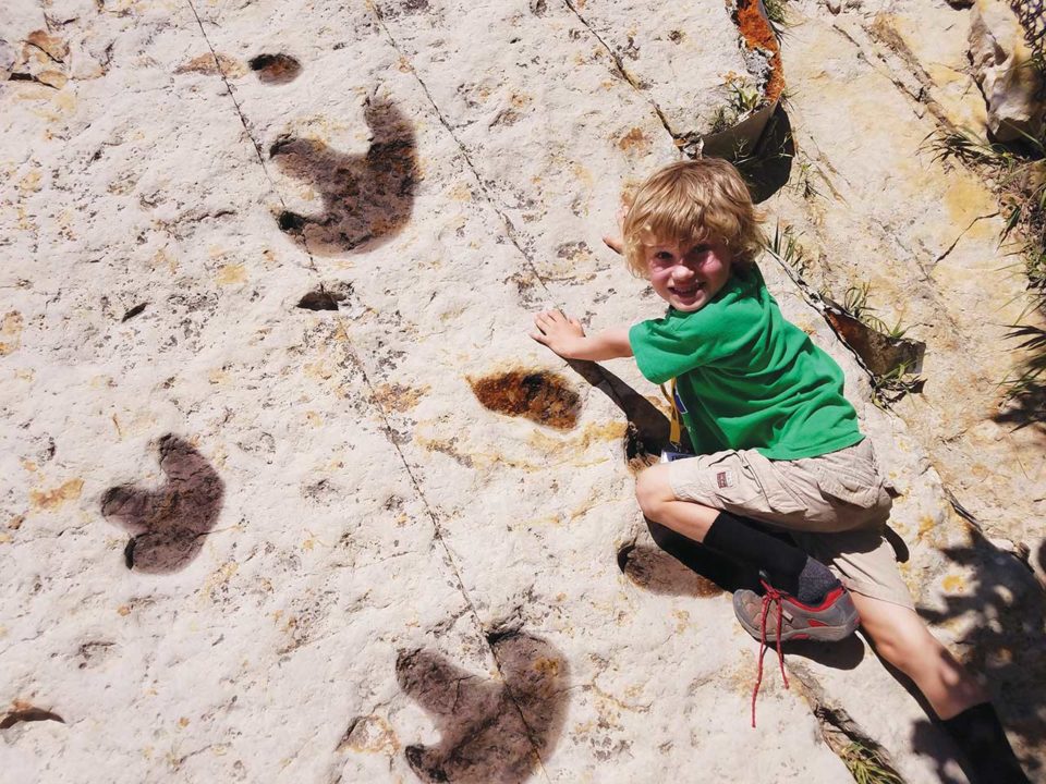 Dinosaur Ridge